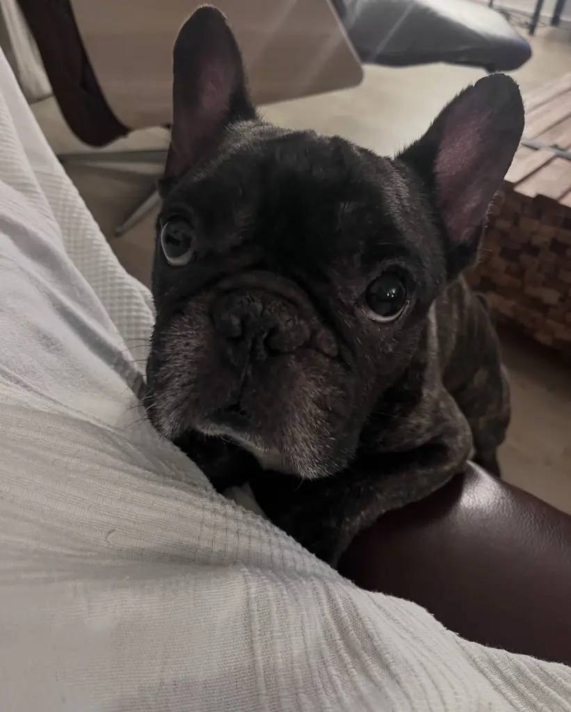 Condolence image of Diego