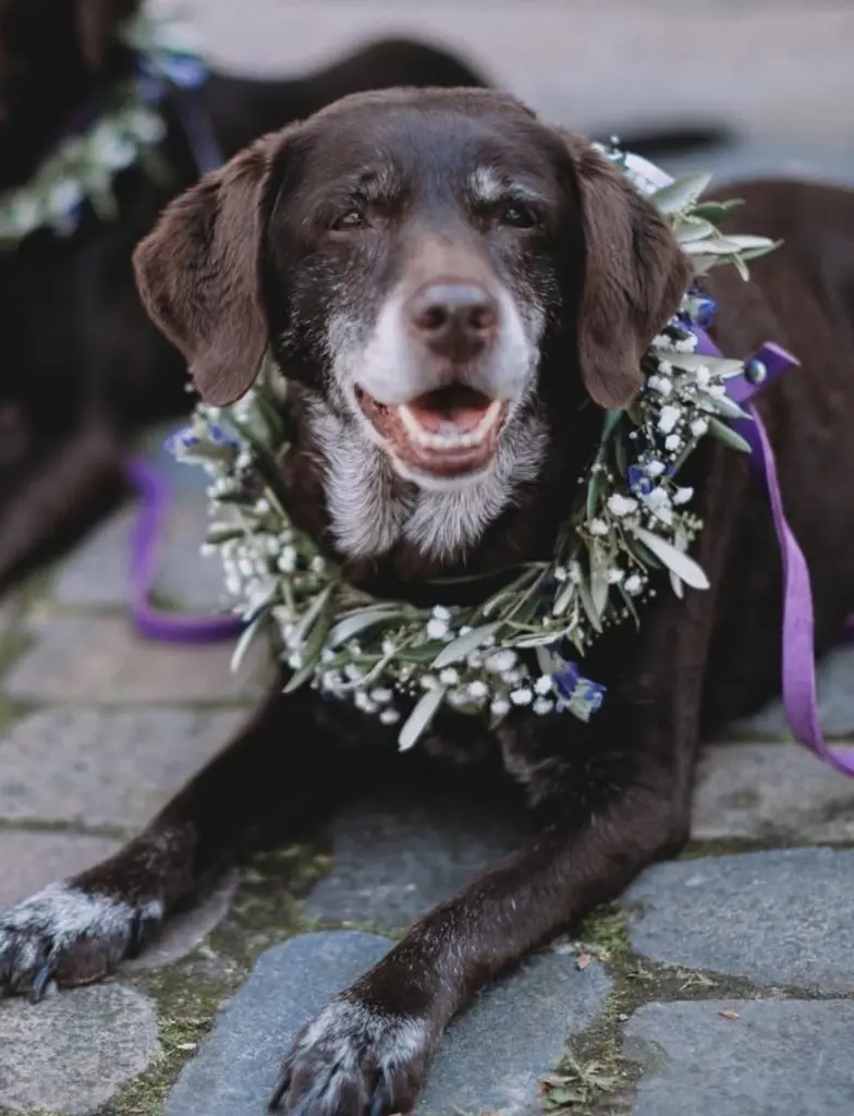 Condolence image of Yvi