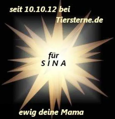 Image from meine einzigartige SINA - Sonnenschein und Stern