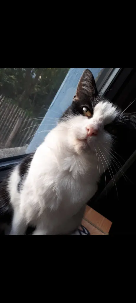 Condolence image of Simone Jacobs