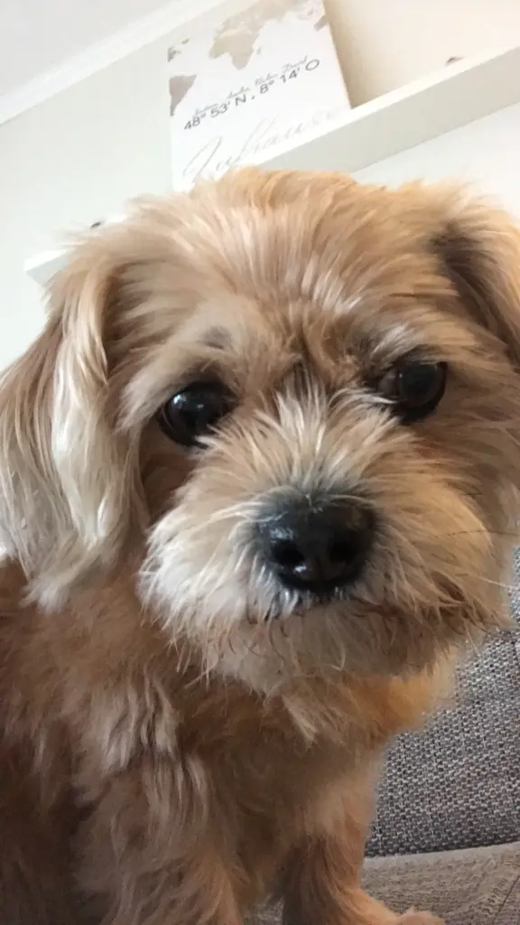 Condolence image of Justina