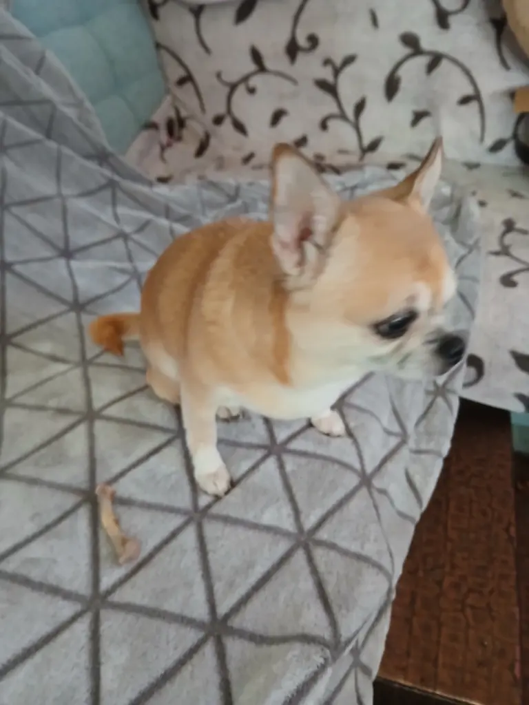 Condolence image of Reiner