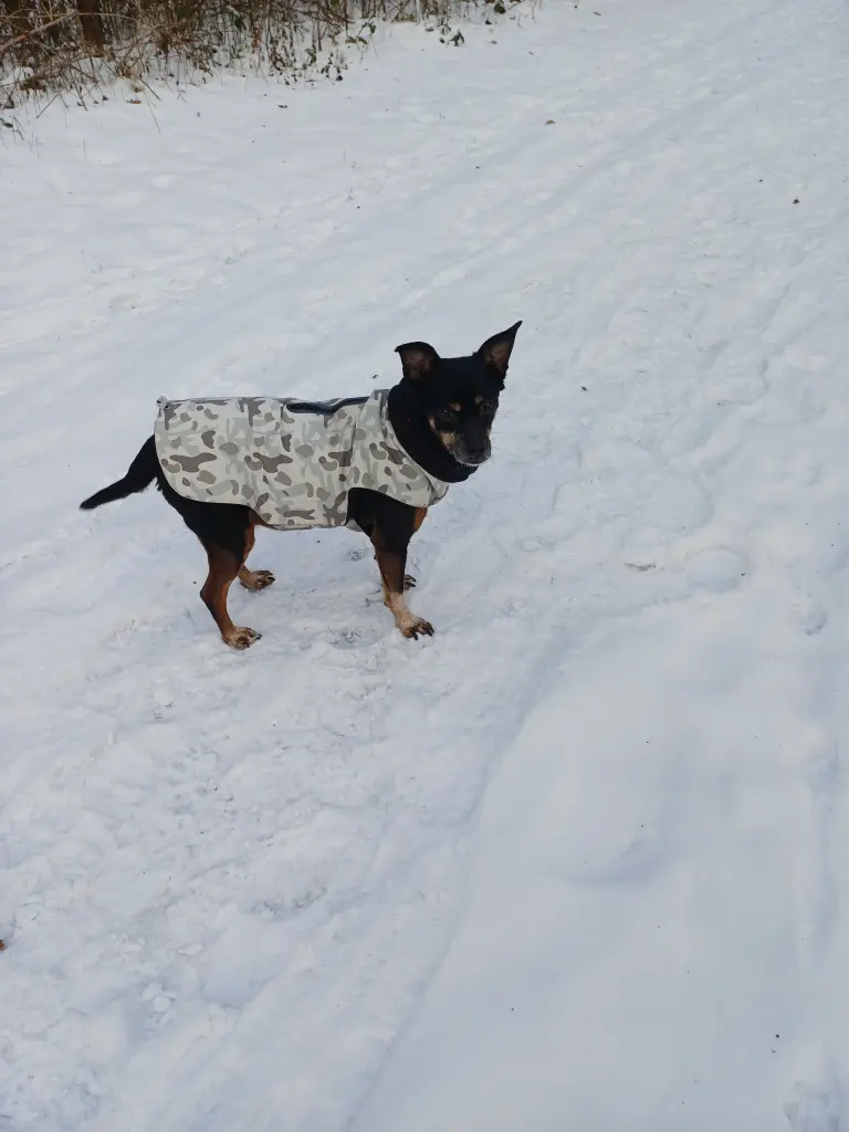 Unser letzter Spaziergang