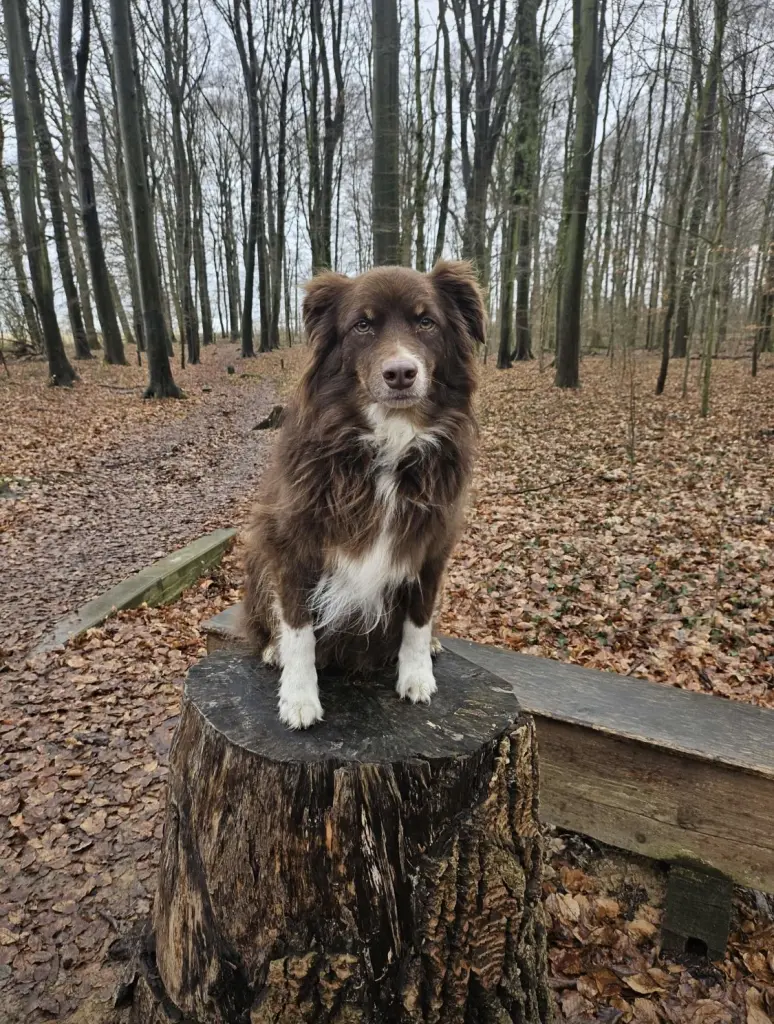 Andachtsbild von Manuela Stöhr