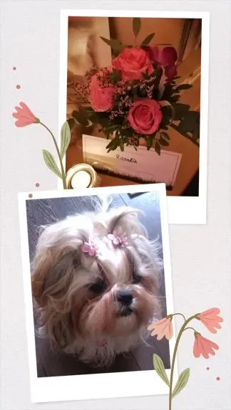 Andachtsbild von Kerstin Mit Rosalie im ❤️