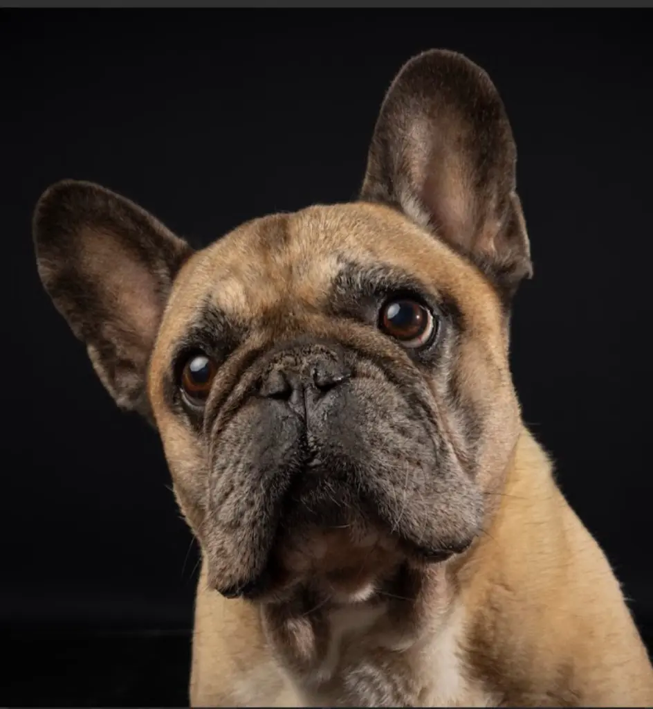 ❤️❤️❤️❤️❤️