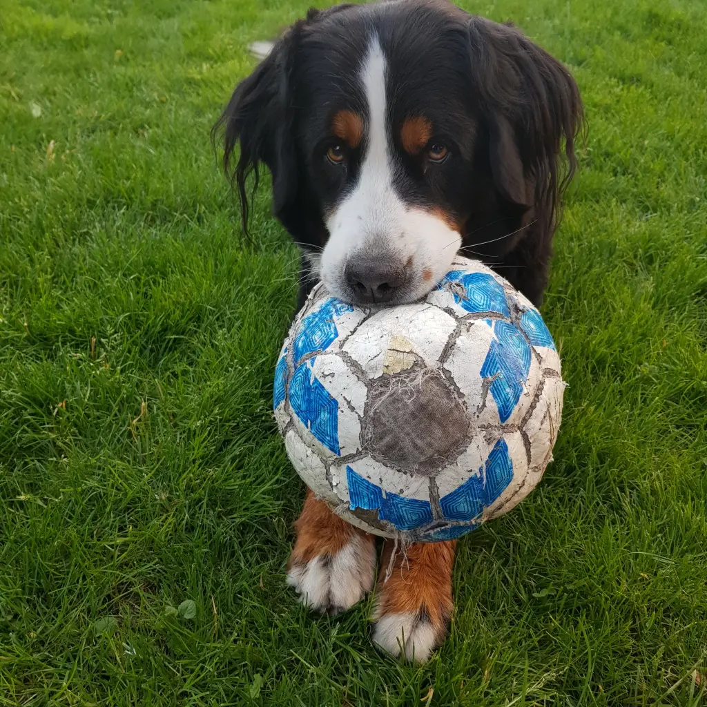 Bild von Sunny