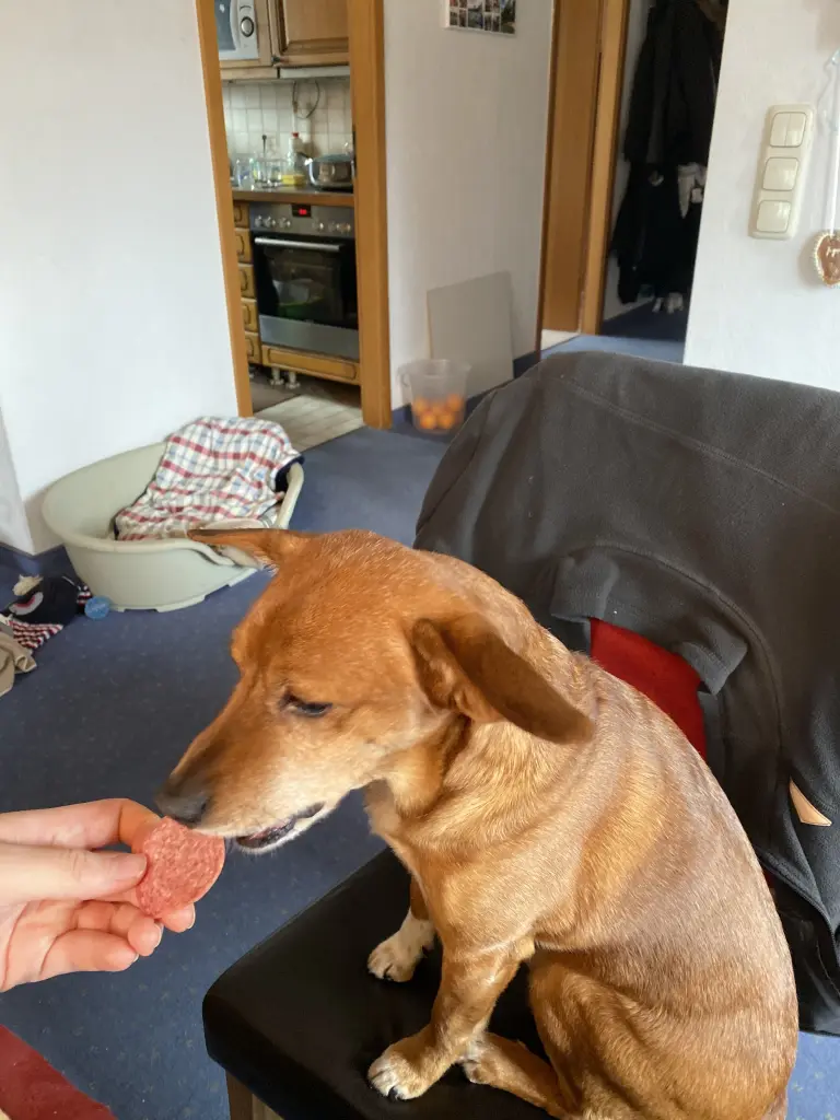 Image from Rocky