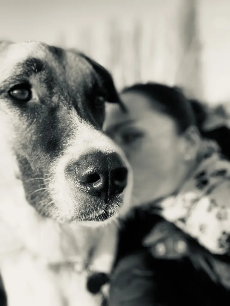 Was habe ich dich gerne geknutscht ❤️