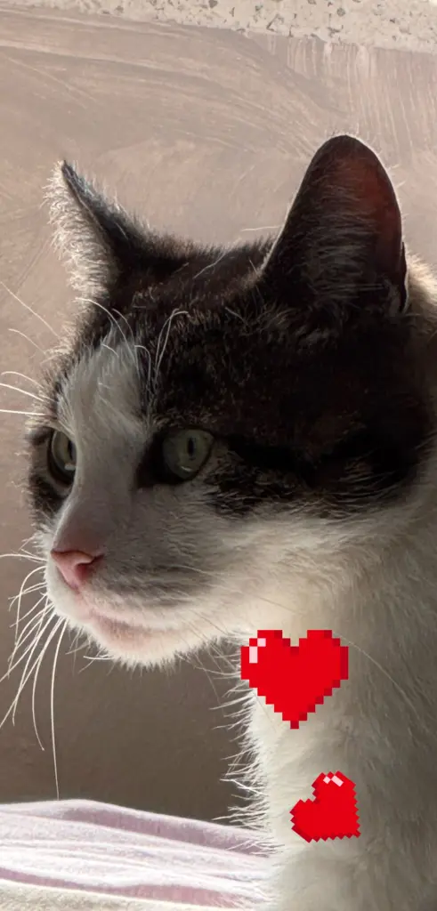 Condolence image of Bettina Manske