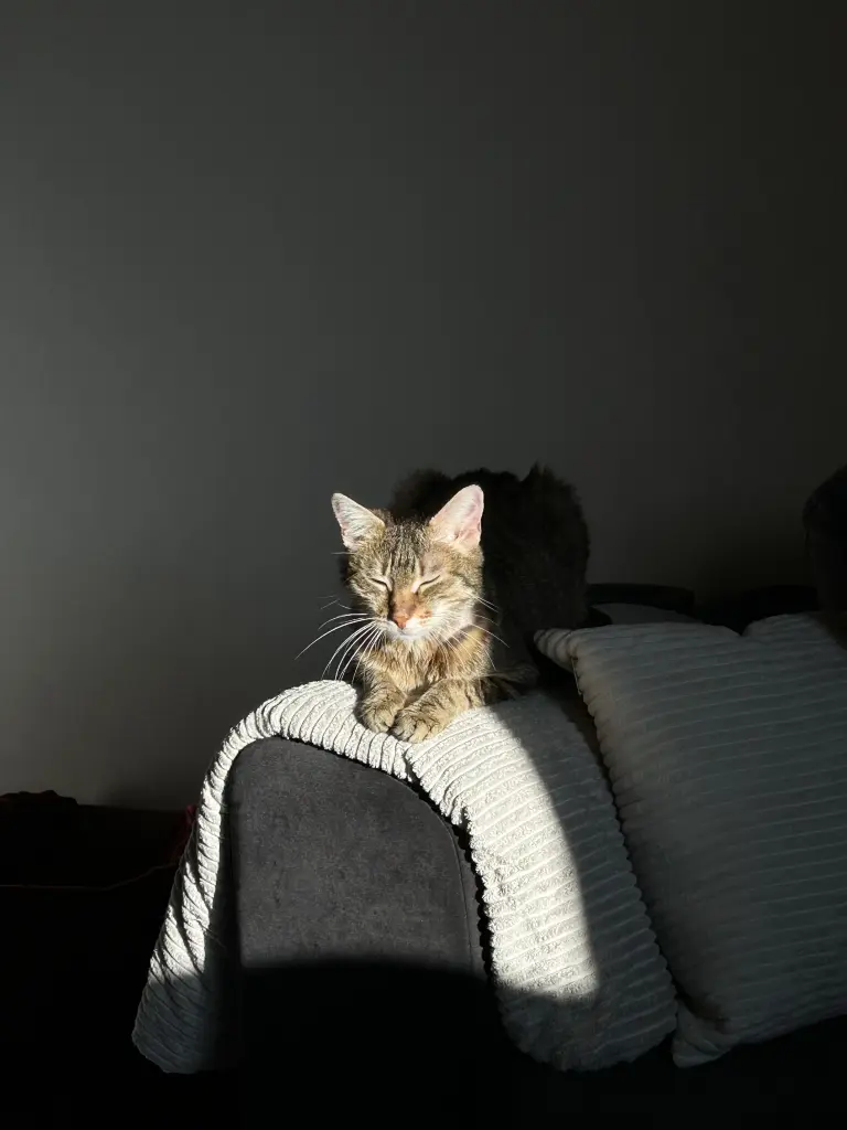 Immer da wo die Sonne war