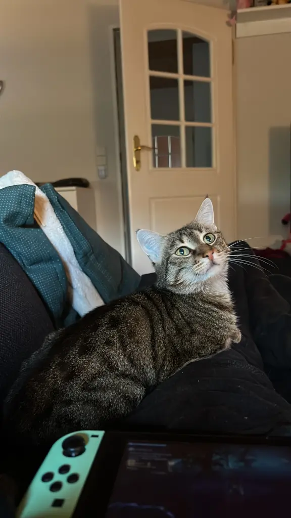 Kuscheln wann auch immer es ging