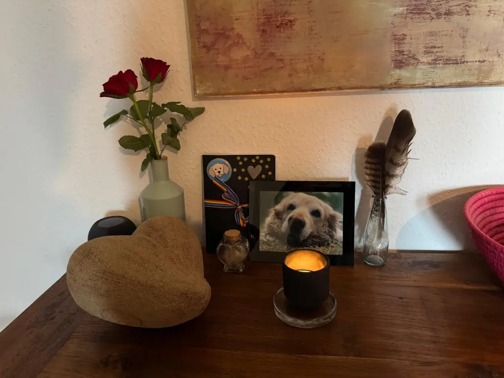 Image from Frida