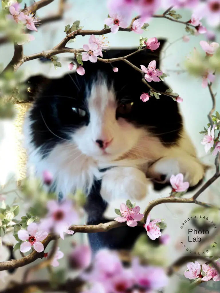 Condolence image of Fabienne Korff