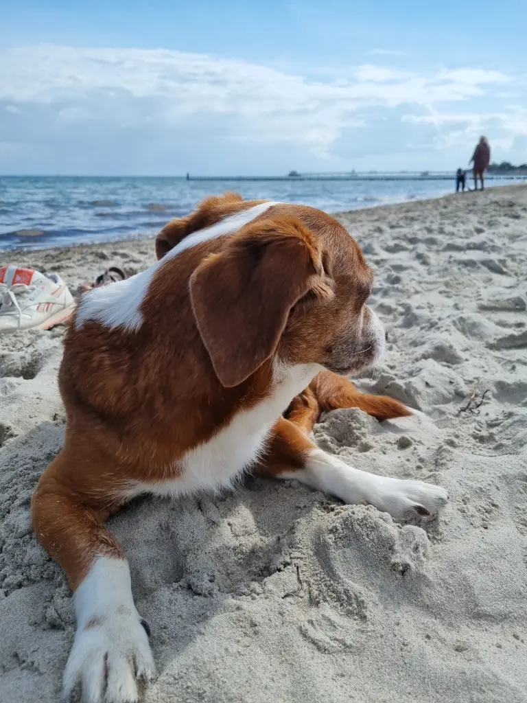 Andachtsbild von Rita Witthaus