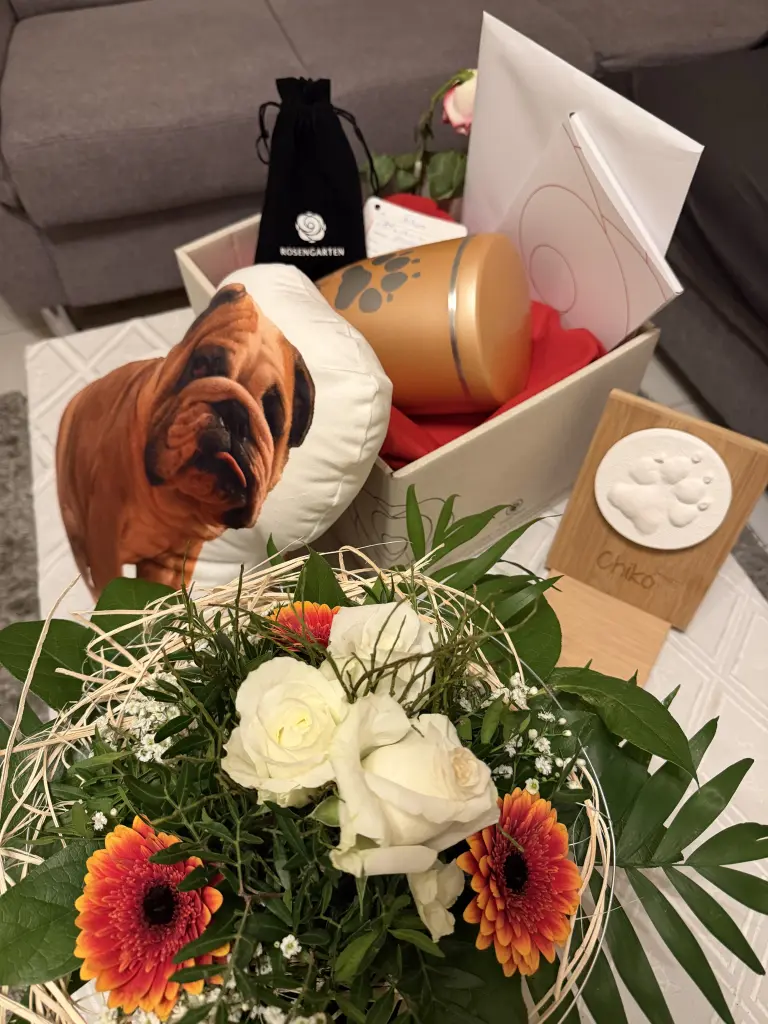 Image from Chiko