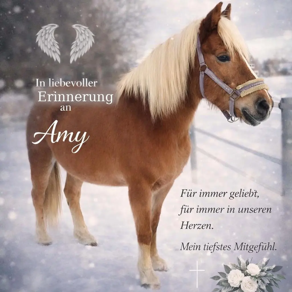 Image from Amy