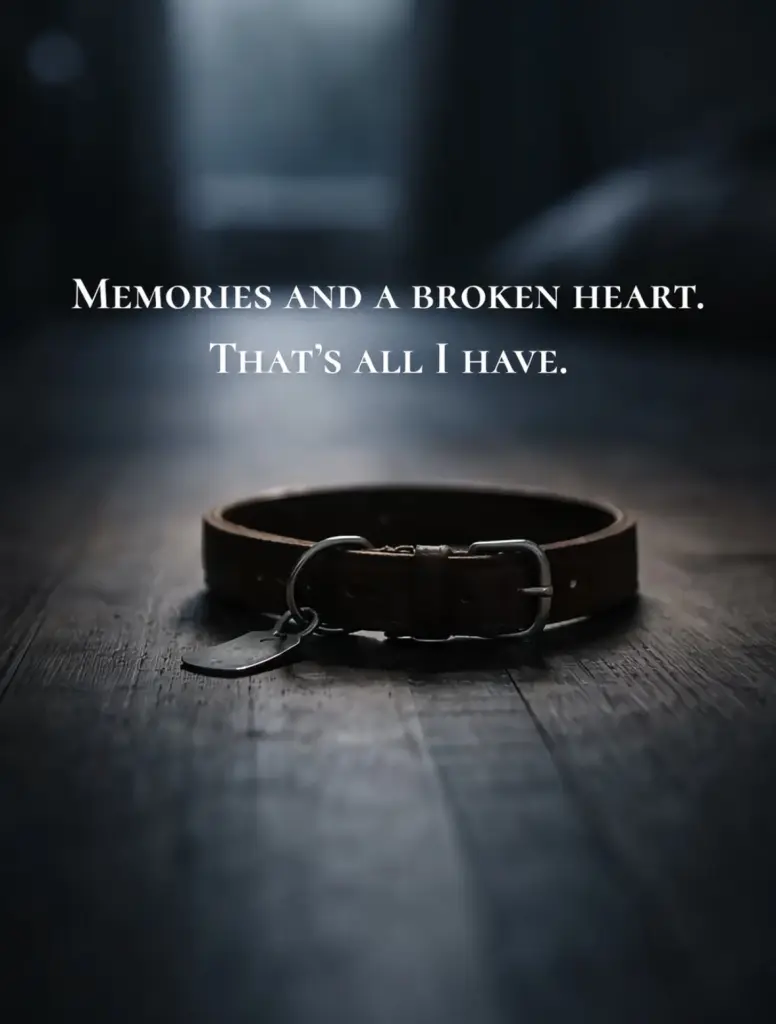 Image from Nino