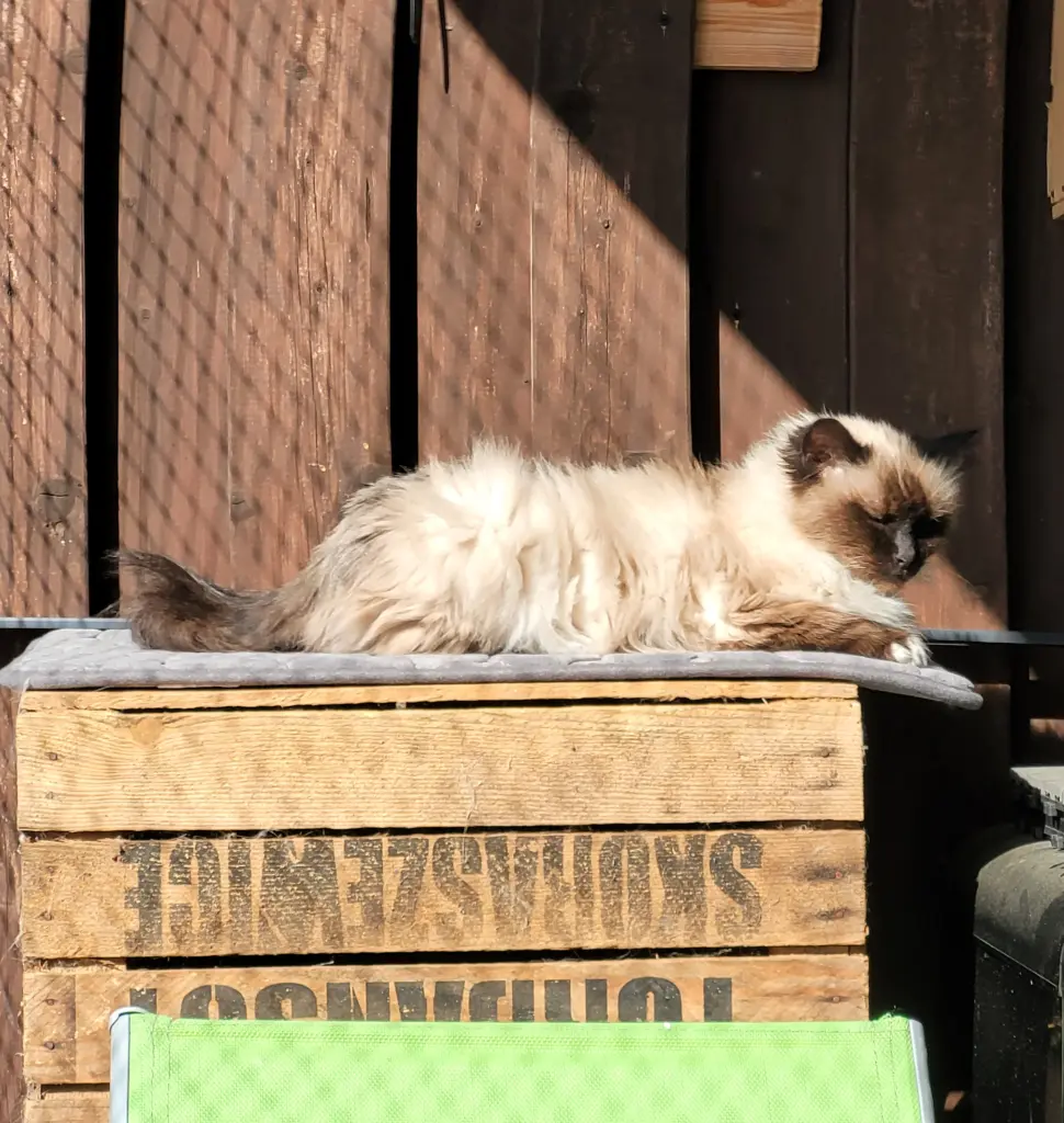 Andachtsbild von Christiane