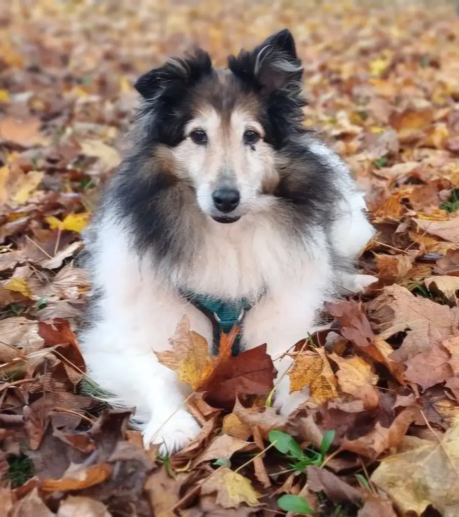 Bild von Emma