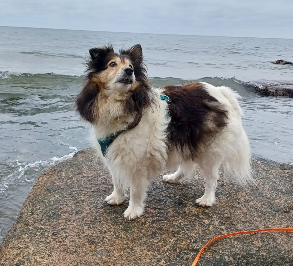Bild von Emma