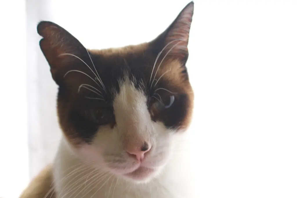 Condolence image of Jörg Bade