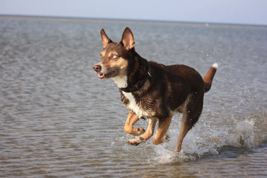Bild von Yahto