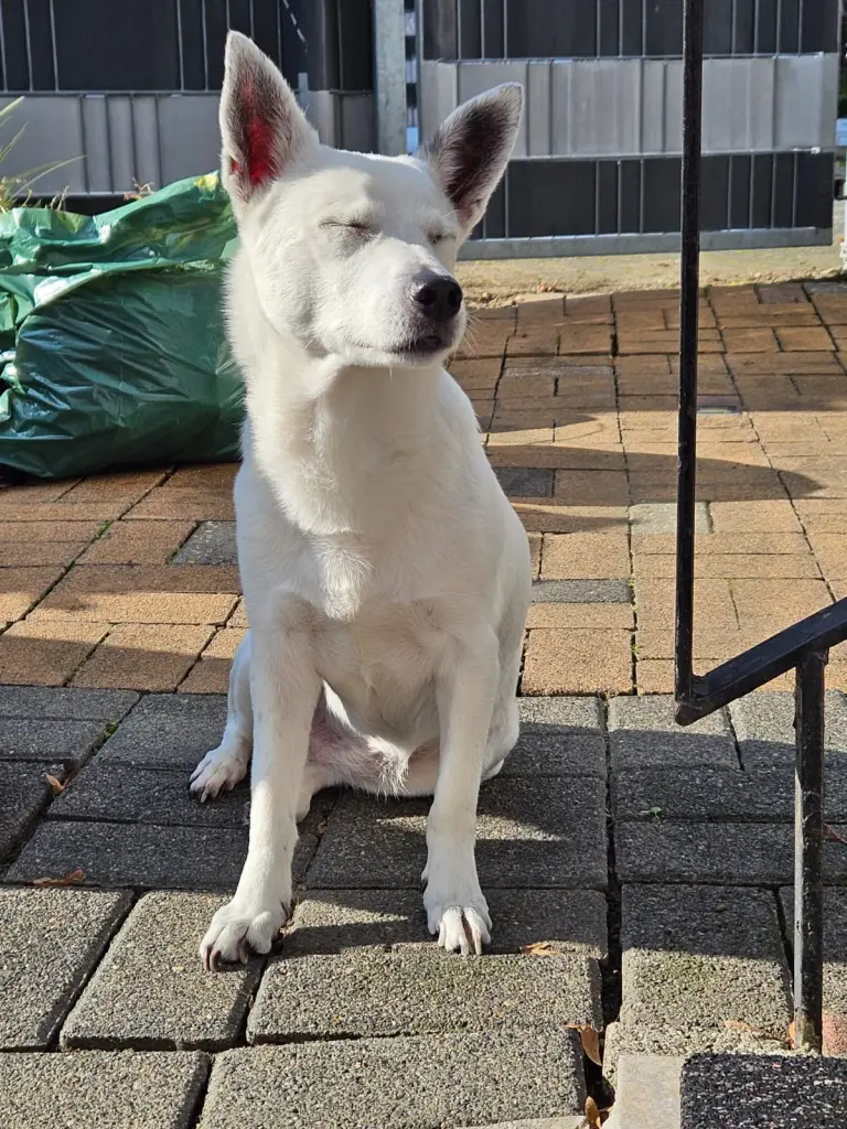 Bild von Sunny