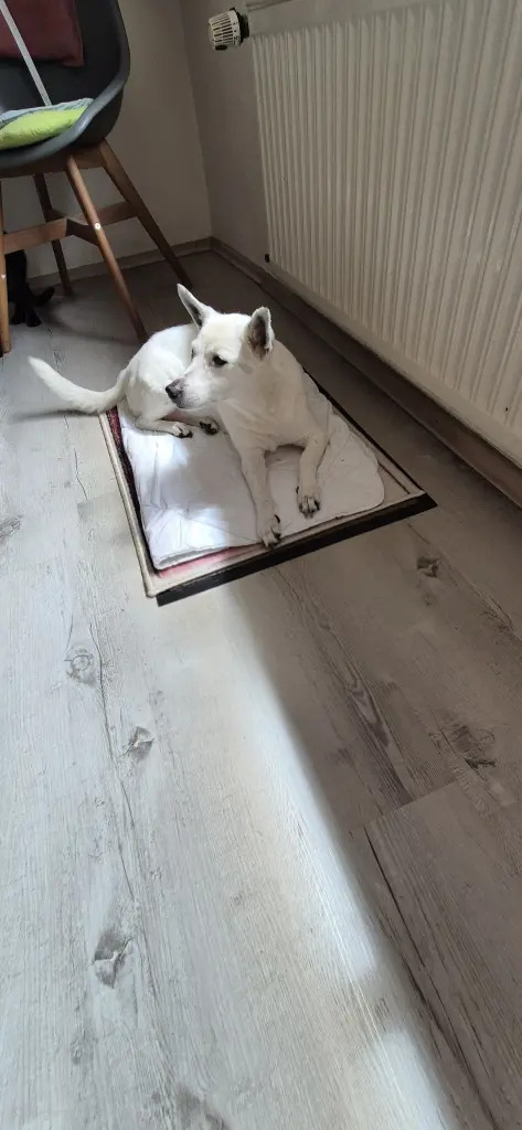 Bild von Sunny
