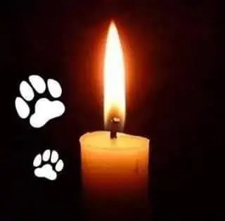 Andachtsbild von Regina mit❤️ Shila tief im Herzen ❤️