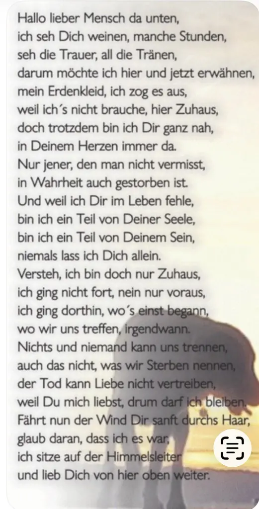 Condolence image of Carmen mit Simba❤️Ammo im Herzen