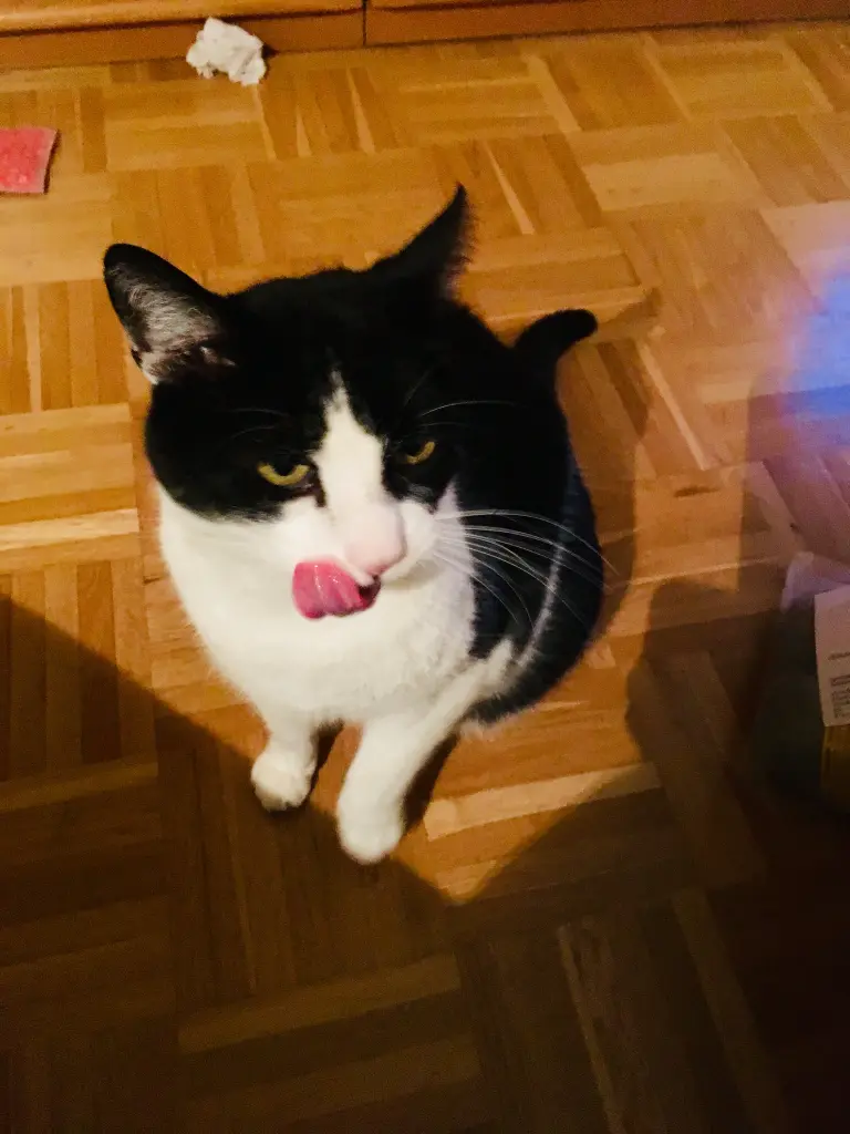 Verfressen? Nö!