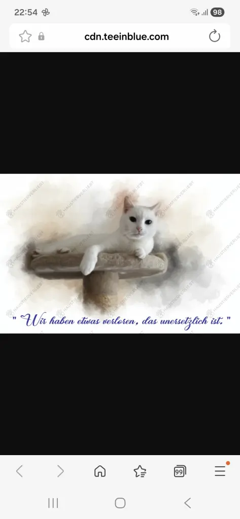 Image from Cassy