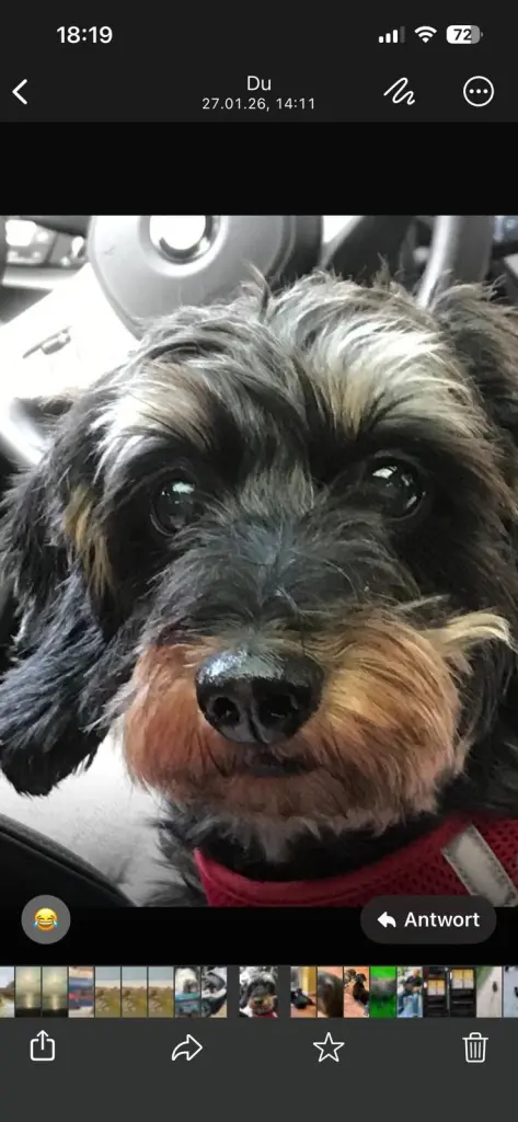 Condolence image of Gabriele Ohm