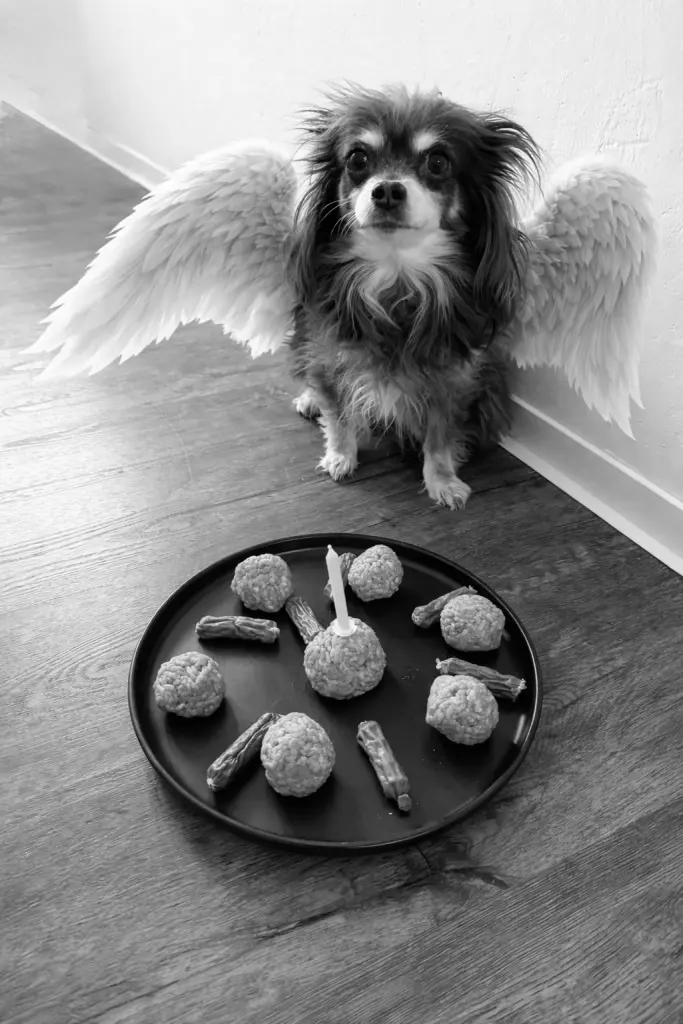 Condolence image of Sascha
