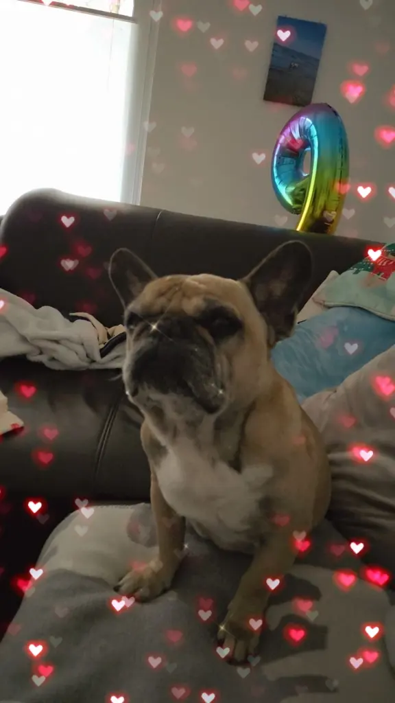 Condolence image of Isabell