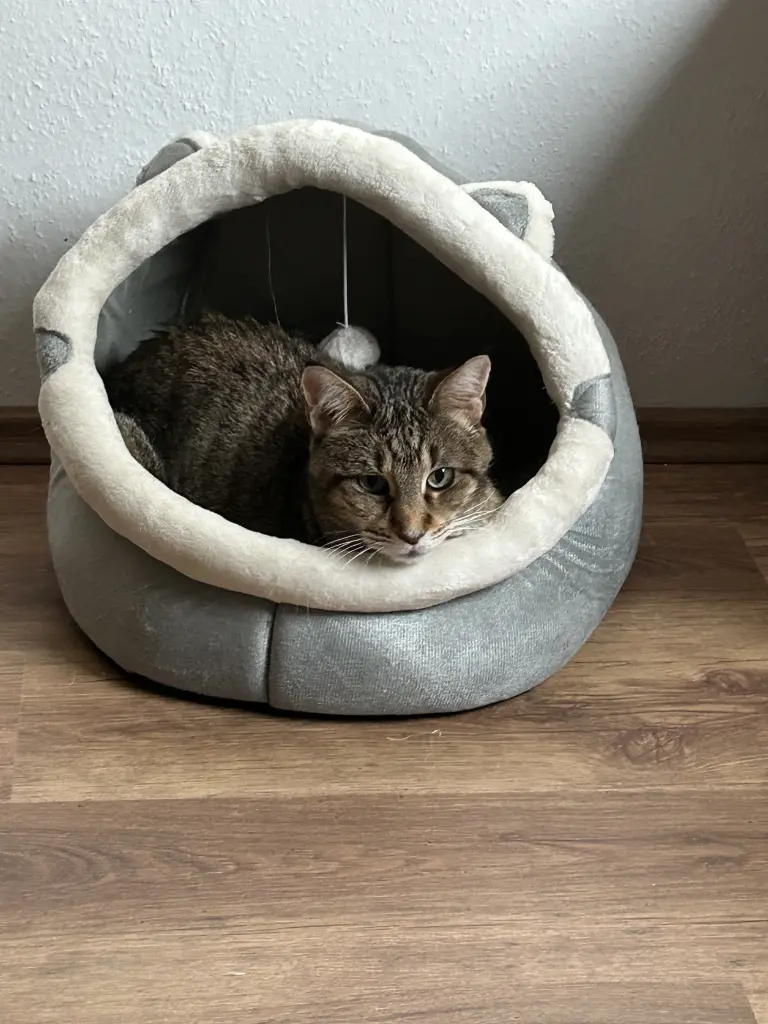 Mein Engel