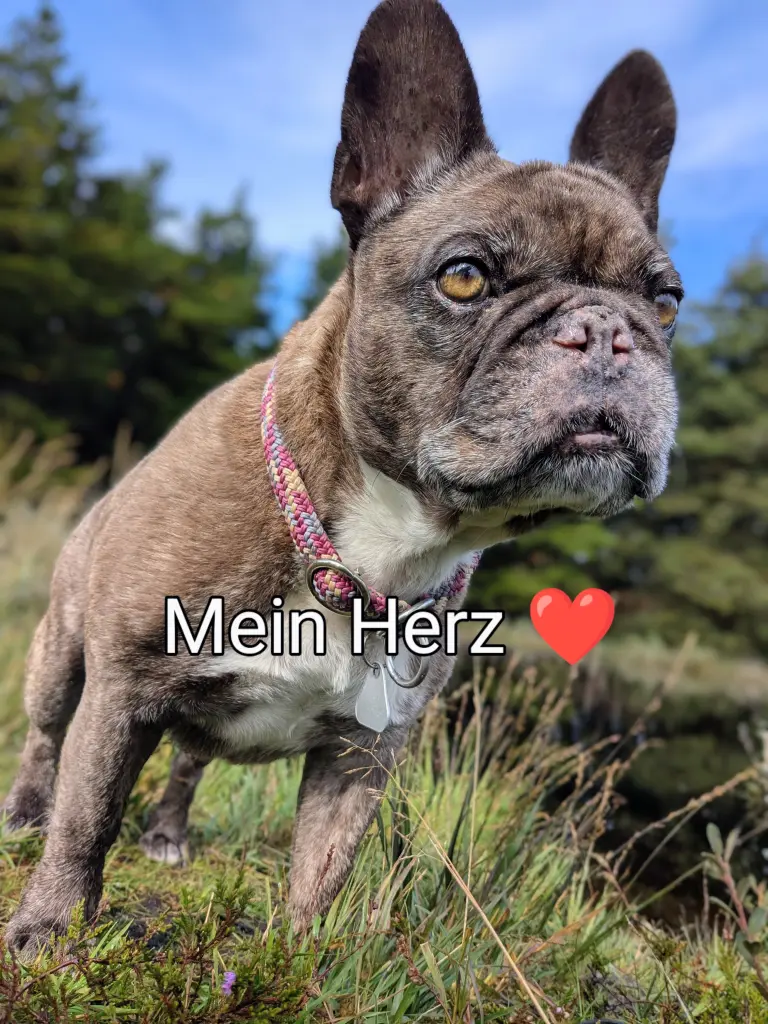 Voller Liebe 💞