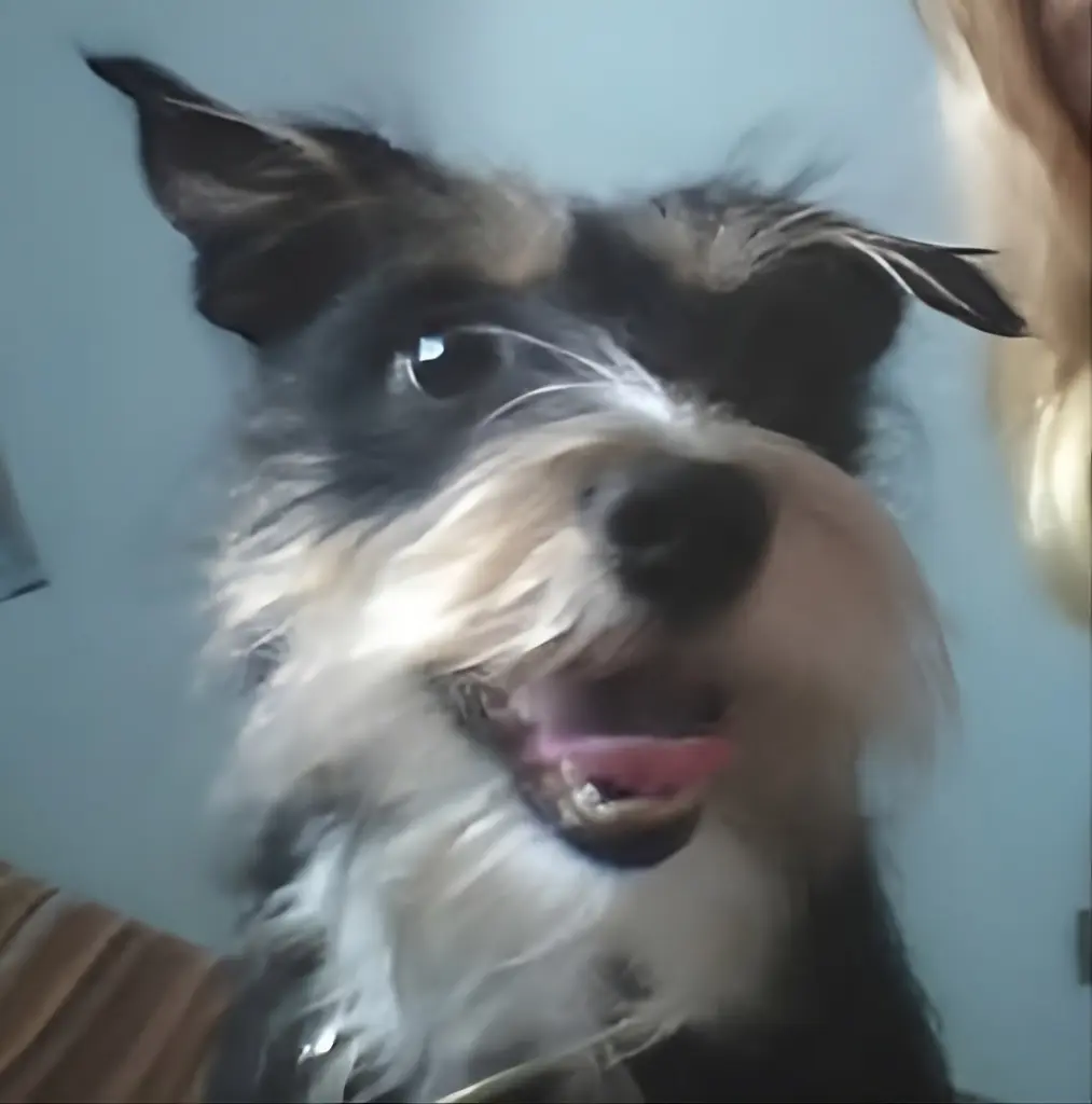 Bild von Aimy