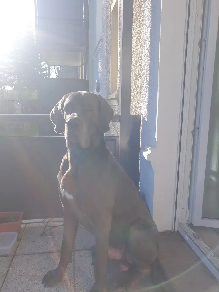 "Papa ich bin bei dir!"