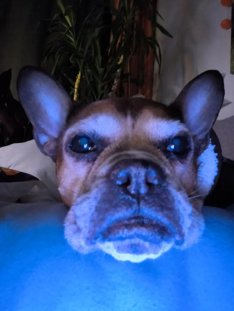 Bild von Püppilotta