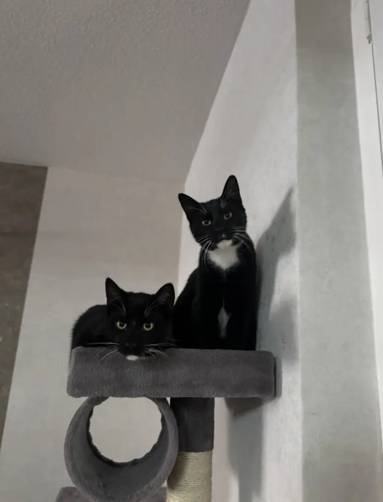 Bruno und Billy