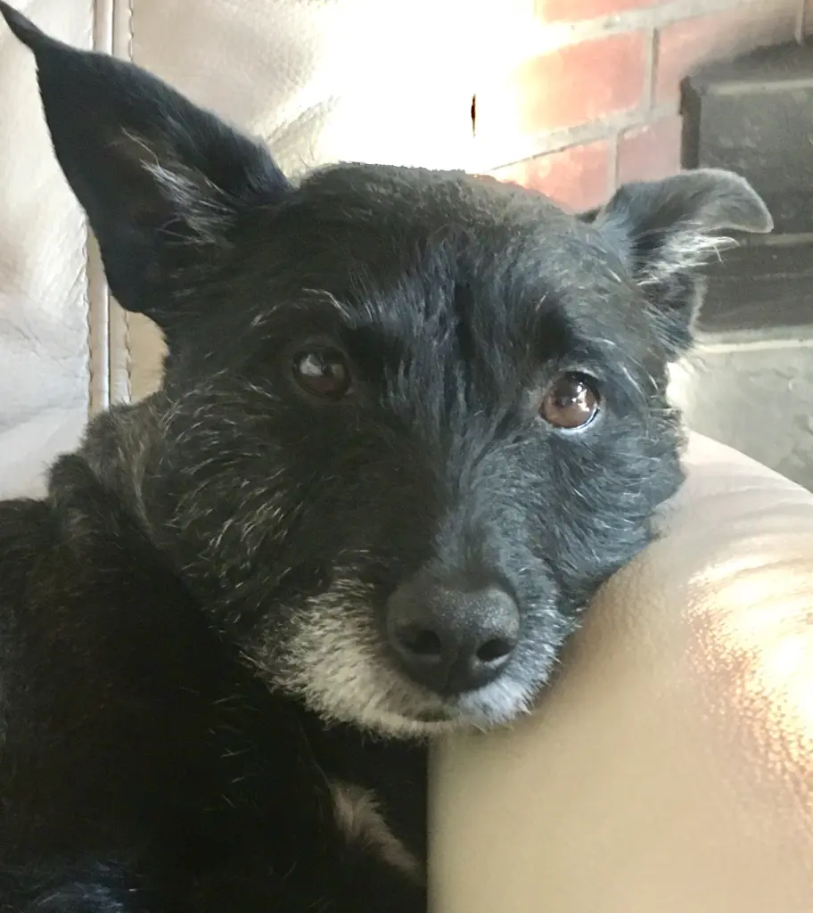 Andachtsbild von Naghmeh Aram
