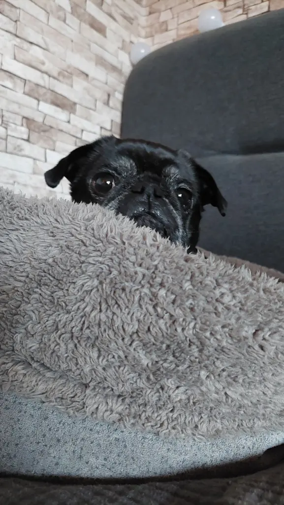 Condolence image of Steffi Kaffka