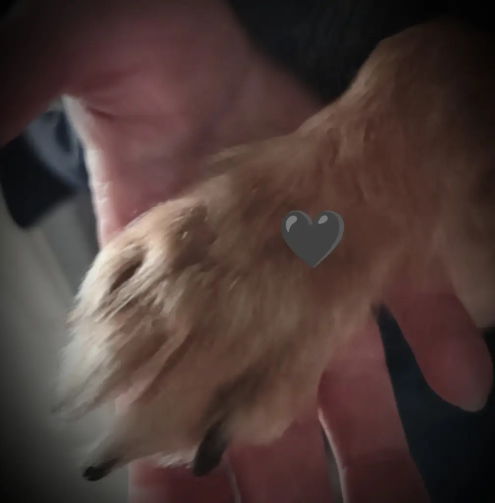 Andachtsbild von Christine Brommer