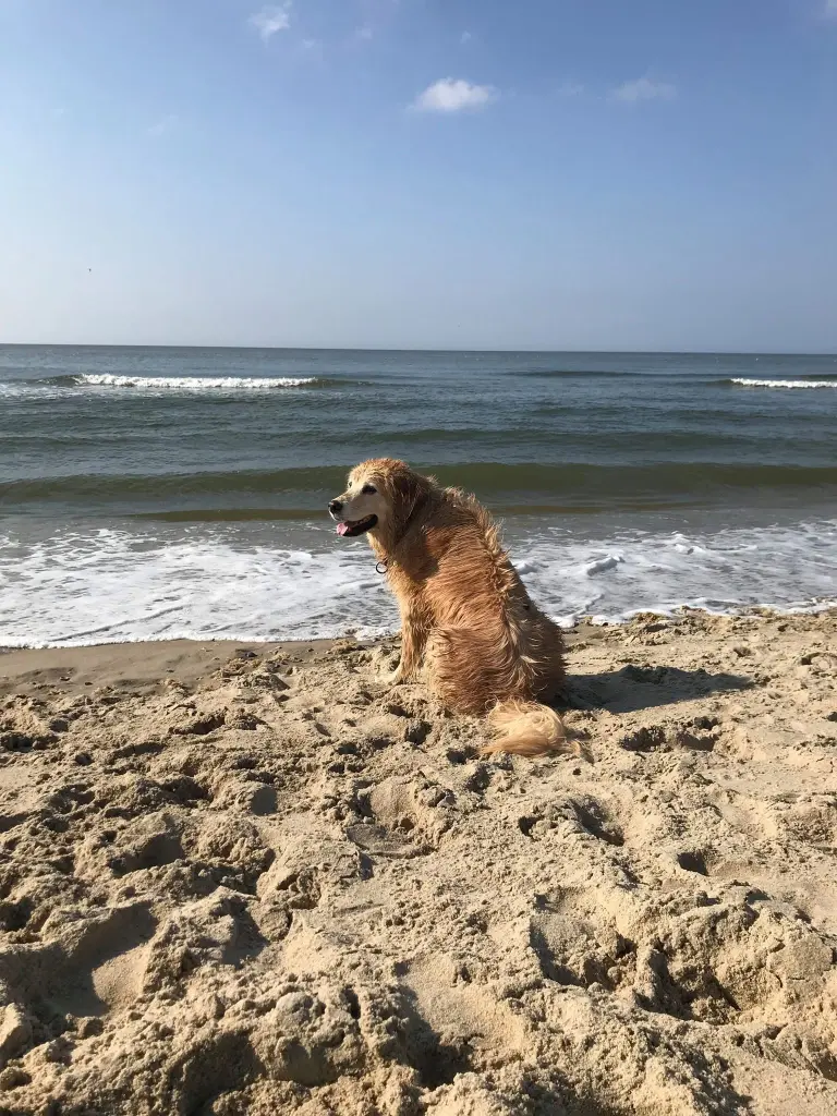 So gerne warst du im und am Wasser