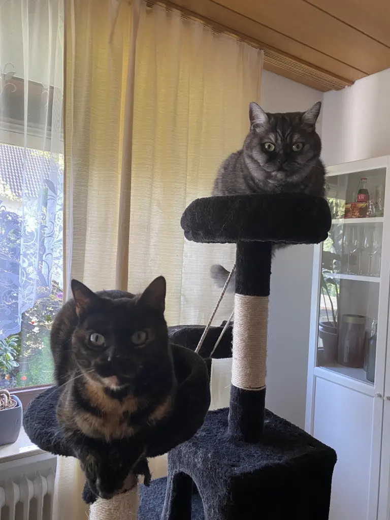 Jetzt seit ihr wieder vereint