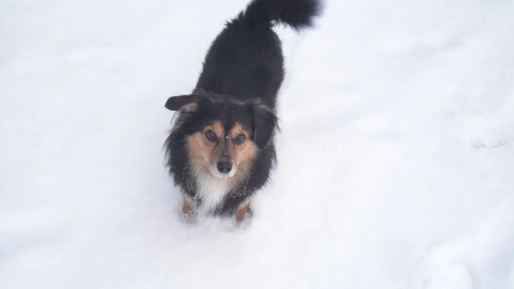 Condolence image of Wolfgang