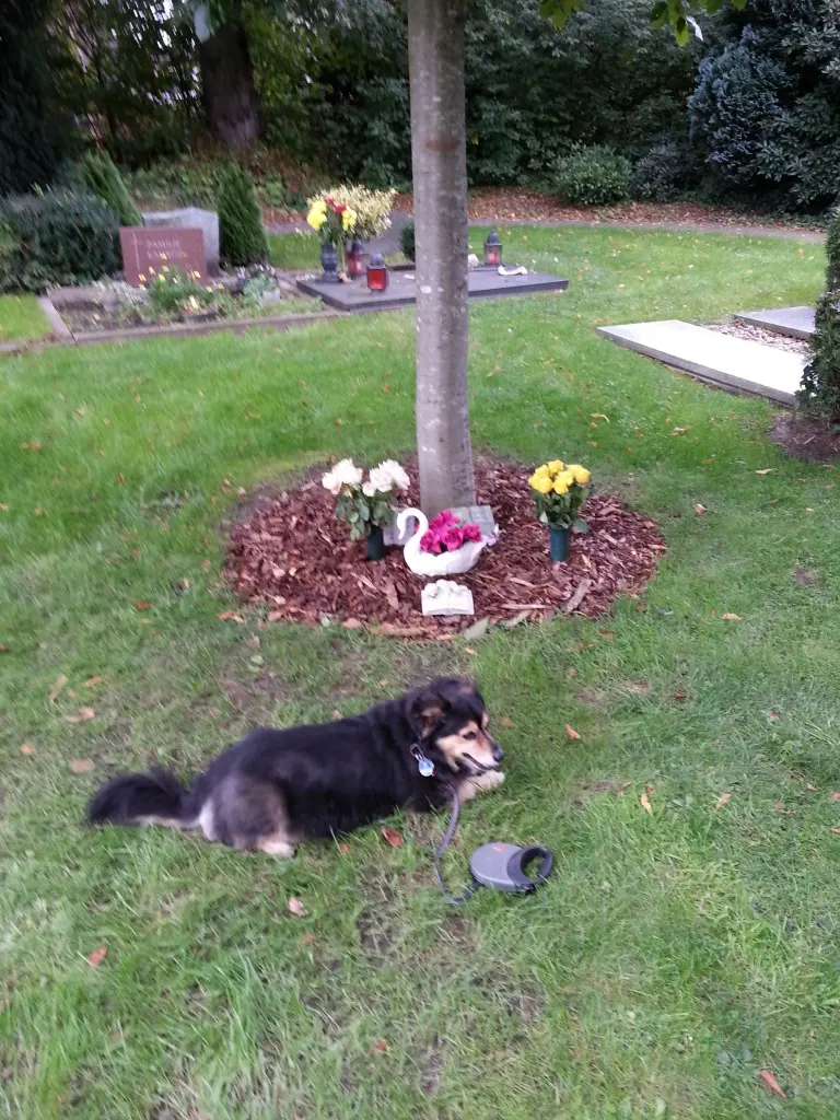 Condolence image of Wolfgang
