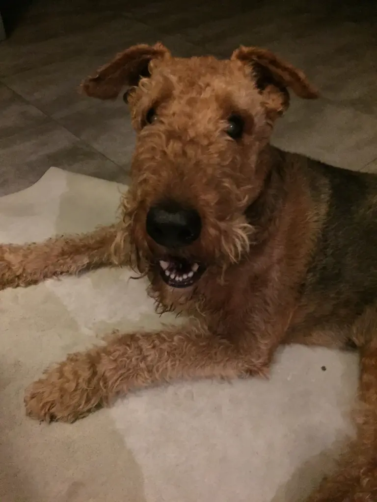 Condolence image of Gabi mit Max im Herzen